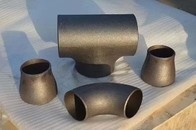SCH60 SCH100 निर्बाध पाइप कोहनी 45 डिग्री 325x8mm A403 WP304
