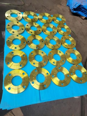 Dn15-Dn1200 स्टेनलेस स्टील पिरोया पाइप निकला हुआ किनारा 300lbs बहु मानक