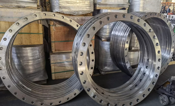 OEM ASTM A105 जाली स्टील फ्लैंगेस SCH80 जंग रोधी तेल की सतह